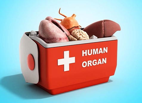 Read more about the article How Could Accepting Organ For Transplant In Dire Situation Be Permitted While Donating It Isn’t ?