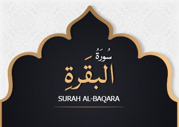 Read more about the article Surah Al-Baqarah Translation and Tafseer Ayat 30-32